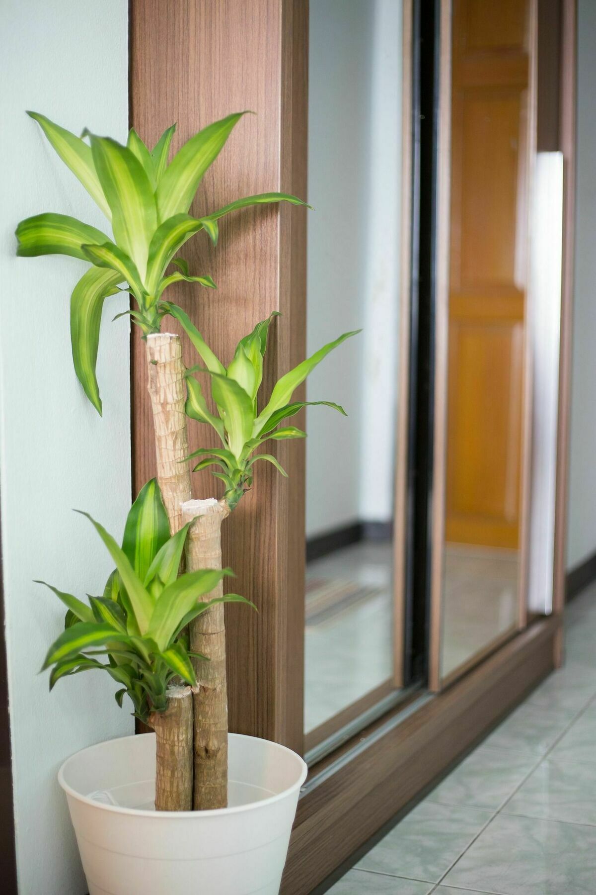 Ratchaprarop Apartment バンコク都 エクステリア 写真